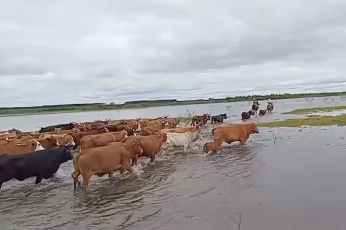 El Niño no tendrá un desarrollo parejo en todo el territorio