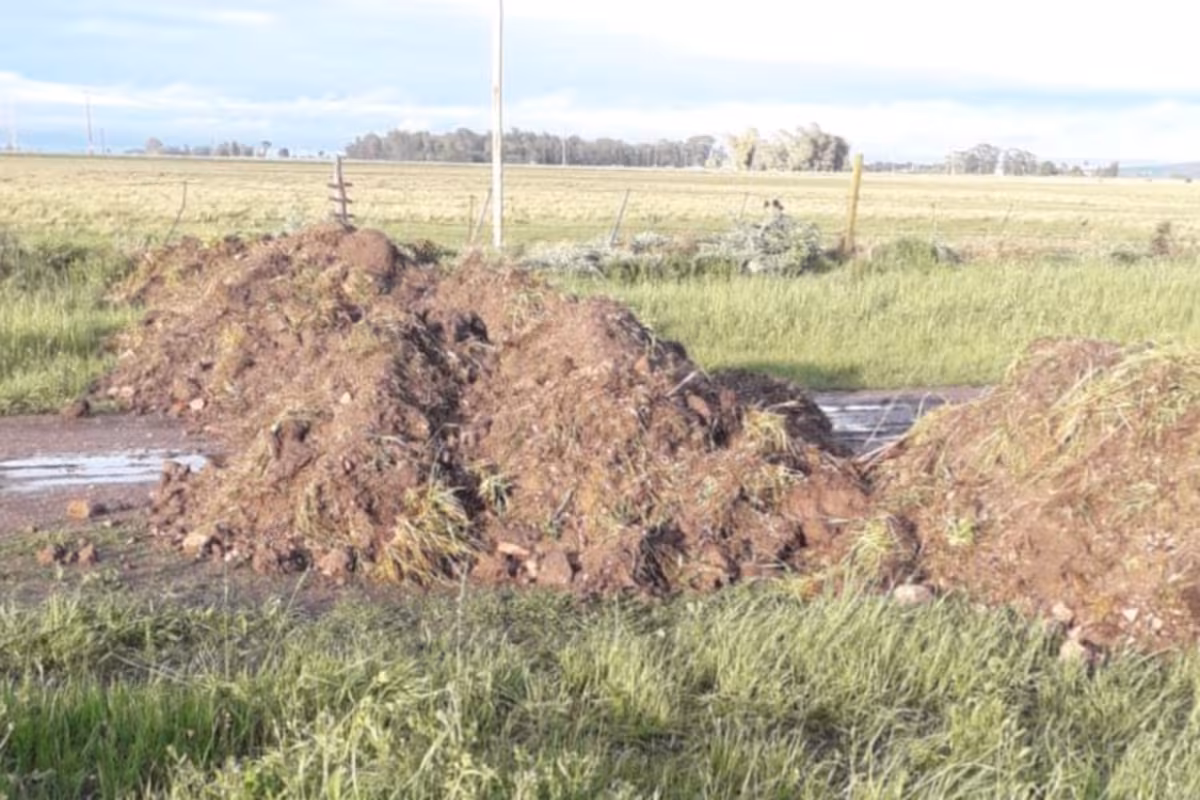 “Es una tomada de pelo”: escándalo porque un intendente de La Cámpora bloqueó una calle con montículos de tierra para frenar el robo de vacas