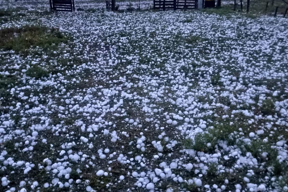 Un violento fenómeno con mucho granizo mató a decenas de animales y dejó graves daños