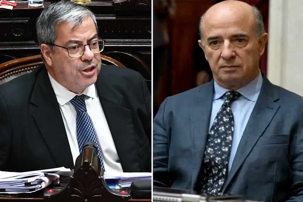 "Fuiste a visitar genocidas". Un diputado libertario reivindicó la dictadura militar y la comisión terminó en un escándalo