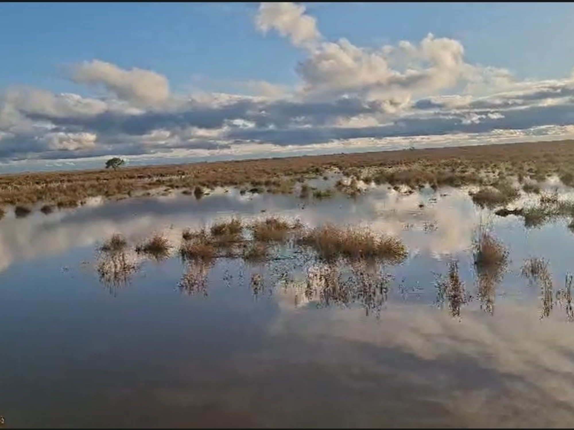 El Niño comienza a golpear en el Litoral: alarma entre los productores por la crecida de los ríos Uruguay y Paraná