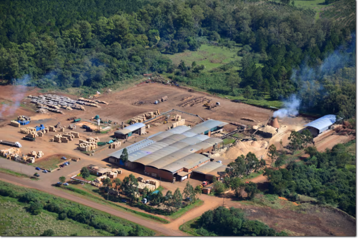 Quebró uno de los aserraderos productores de pallets más grandes del país