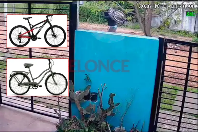 Video: “Con total osadía” robó las bicicletas de un matrimonio de docentes de Paraná