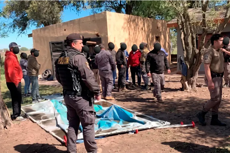 Desbarataron una red de carreras clandestinas y rescataron a 32 galgos