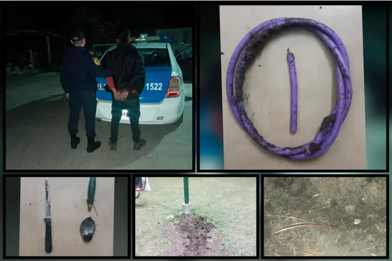 Cuatro detenidos por intentar robar cables: tres fueron sorprendidos arriba de un árbol