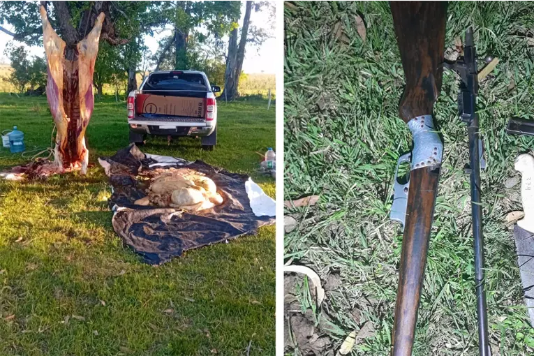 Fueron a constatar una usurpación en un campo y sorprendieron a dos hombres faenando una vaca