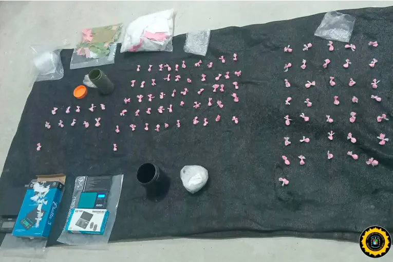 Seis detenidos y más de 220 envoltorios de cocaína secuestrados tras tres allanamientos en Paraná