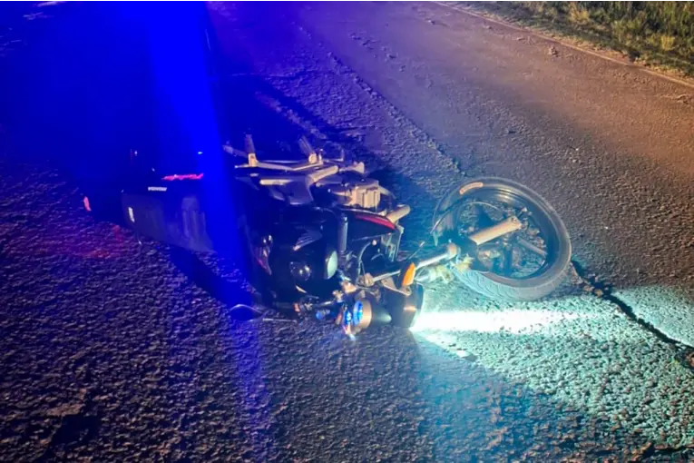 Hospitalizaron a joven que chocó su moto contra un ciervo sobre Ruta 18
