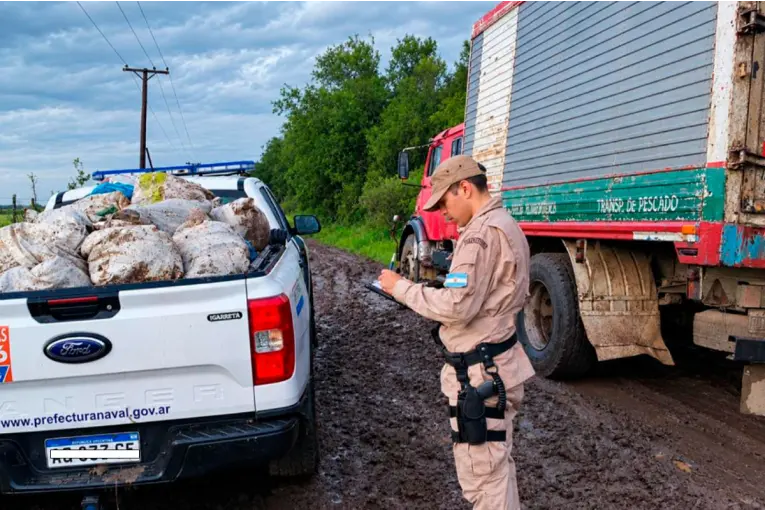 Incautaron 710 kilos de pescados en Gualeguaychú: el camión tenía la cámara frigorífica apagada