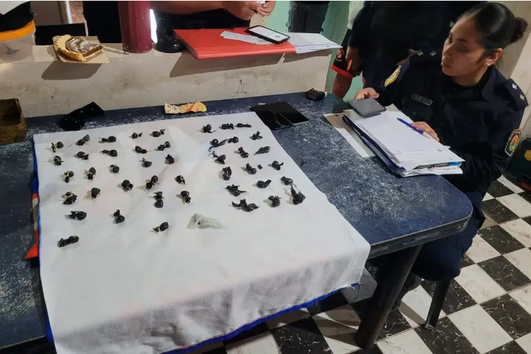 Siete detenidos tras allanamientos: secuestraron 120 envoltorios de droga, celulares y dinero