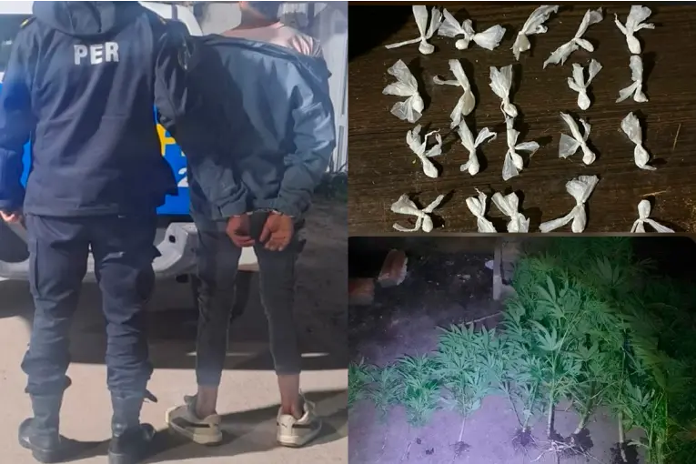 Intentó escapar de la Policía y le secuestraron cocaína, 19 plantas de marihuana y dinero en efectivo