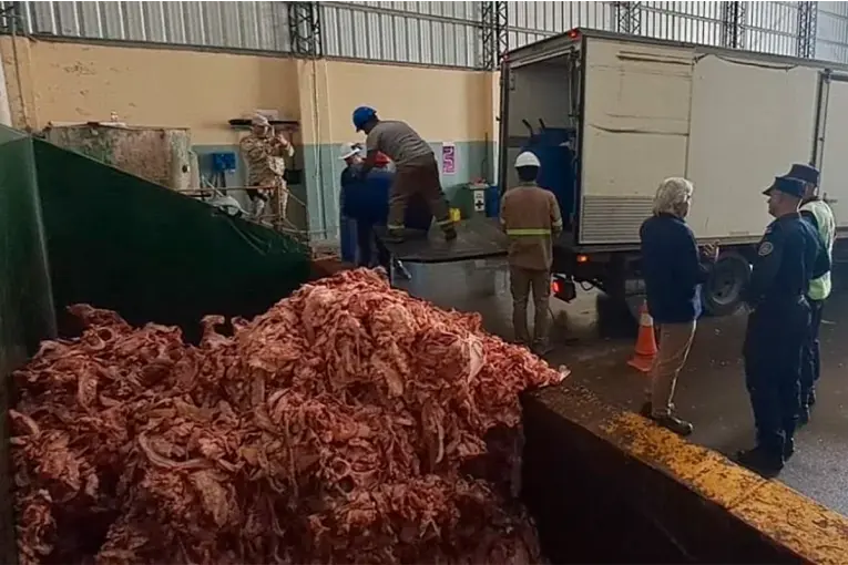 Decomisaron 2.762 kilos de carne y grasa en mal estado durante un control en el Túnel Subfluvial