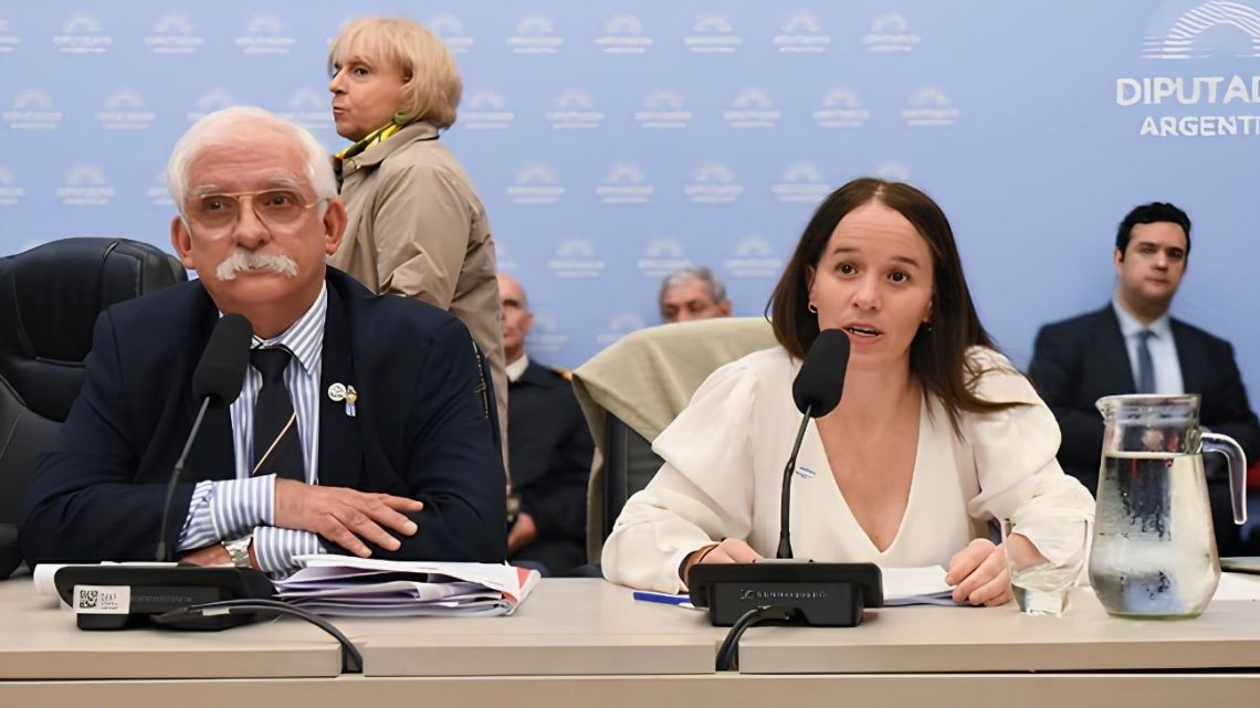 Ley Malvinas: el Gobierno rechaza partir el proyecto, ofrece una bicameral y posterga el dictamen en Diputados