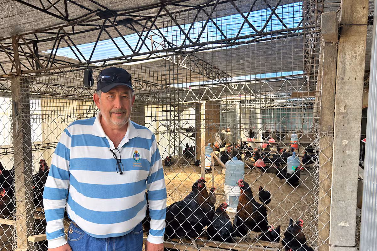 Nelson Ginter, de 62 años, el productor de huevos más austral del mundo: “Si los dejás más de un día se congelan”