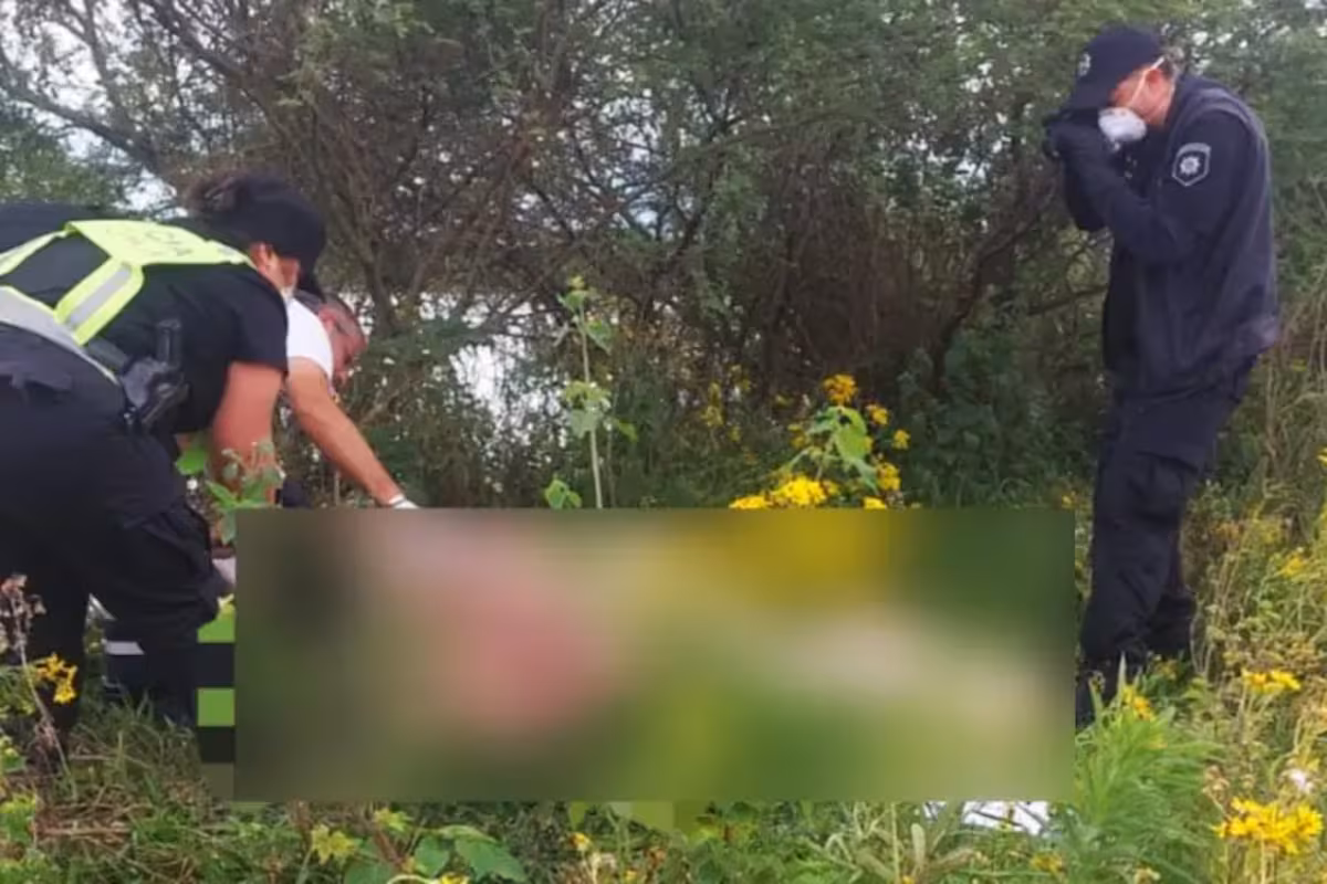 Tragedia: un trabajador rural murió ahogado mientras rescataba vacas de una zona de campos inundados