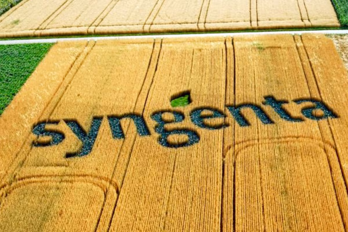 Grupo Syngenta: cayeron un 5% las ventas globales y la empresa advirtió sobre dificultades del agro en América Latina