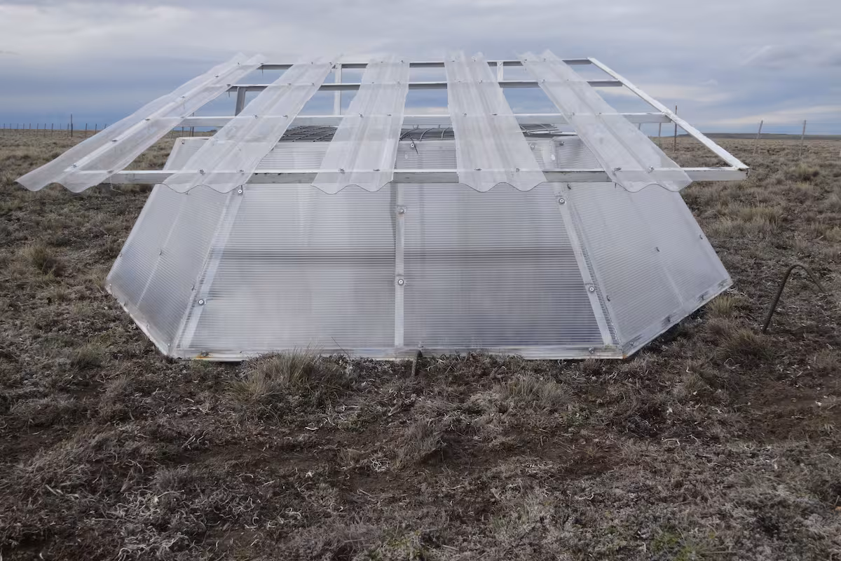 Simulan el clima de 2040 para saber qué pasará con los pastizales