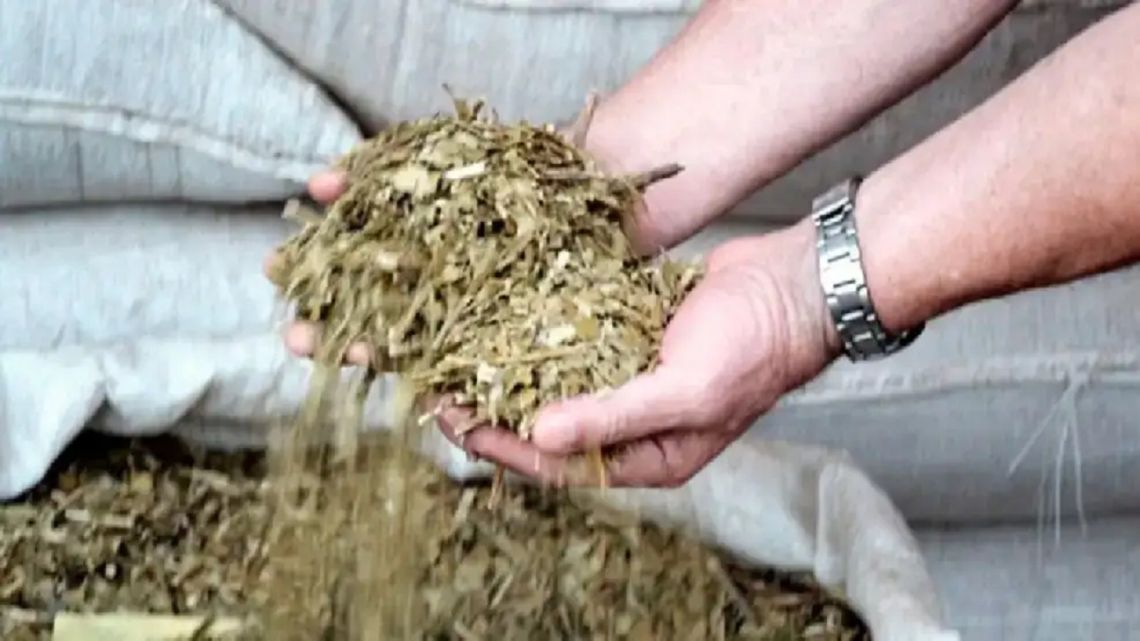 Desde el sector yerbatero aclararon la controversia por el uso de glifosato en la producción de yerba mate
